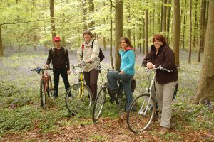 hallerbos-2009